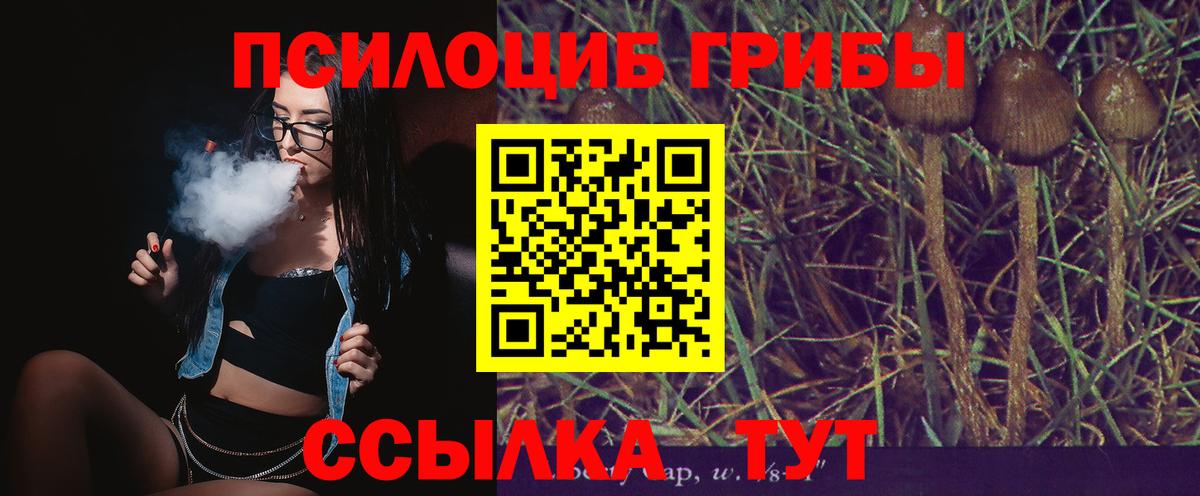 Галлюциногенные грибы Cubensis Обнинск
