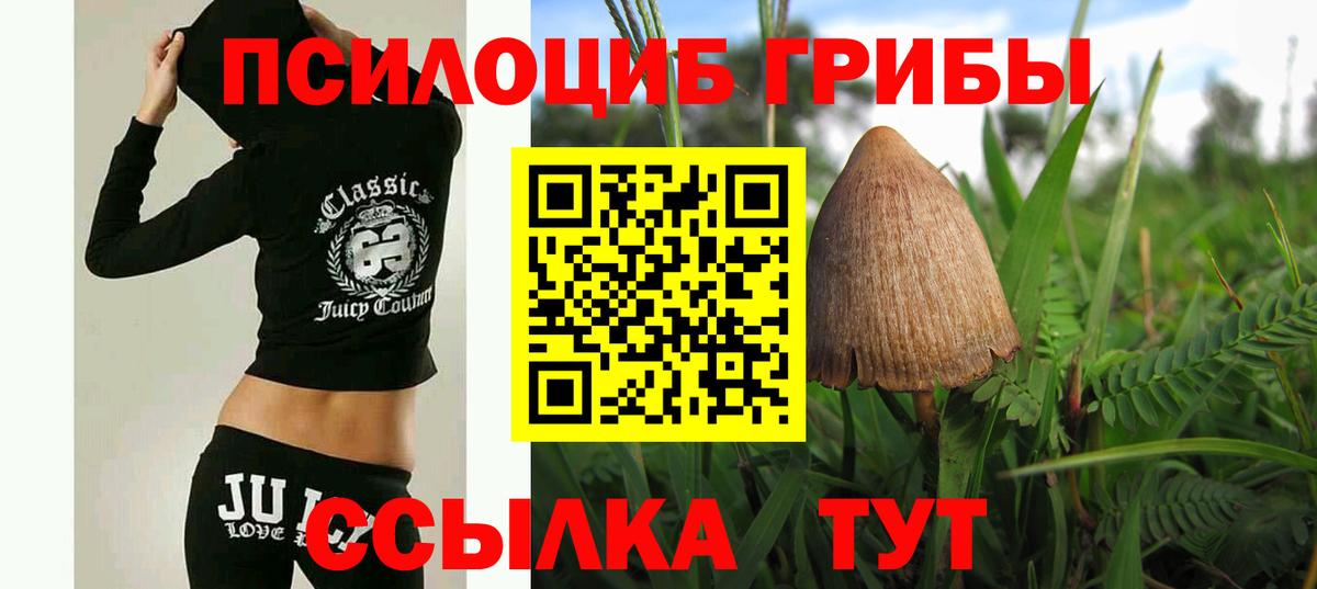 Псилоцибиновые грибы Psilocybine cubensis  Галлюциногенные грибы Psilocybine cubensis  Вход с VPN  Обнинск 